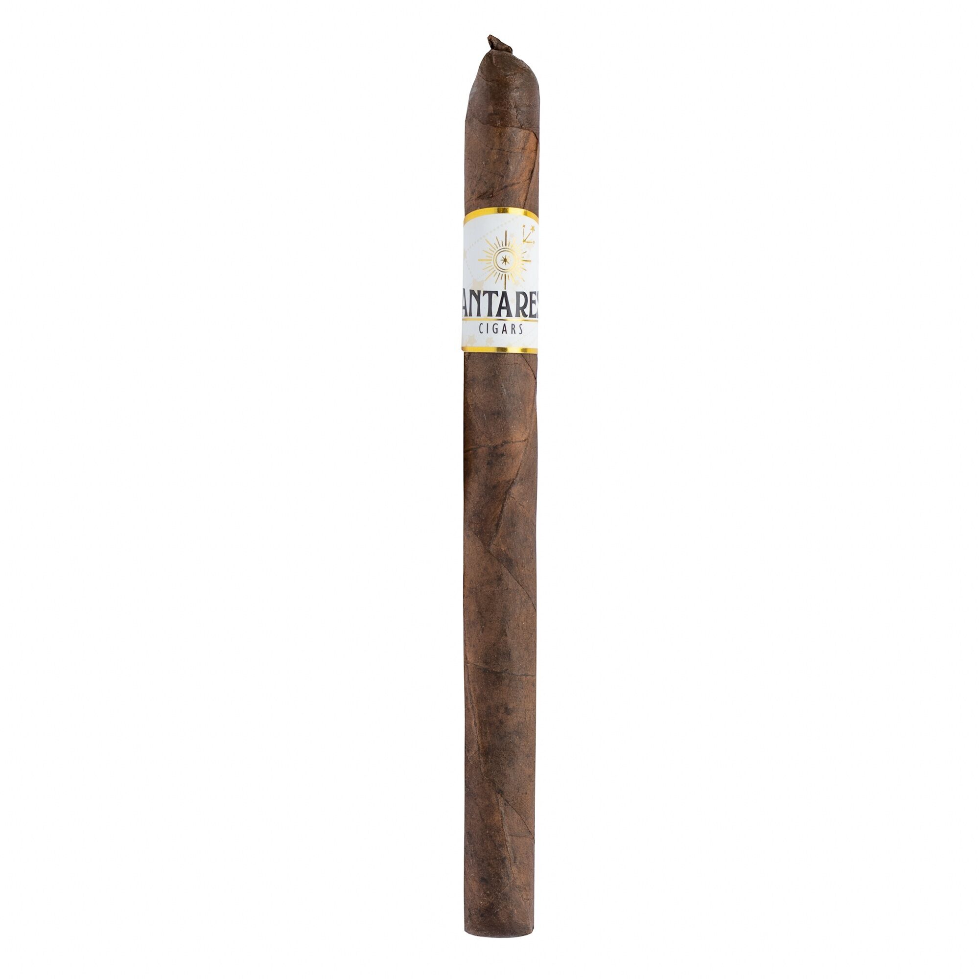 A single brown cigar standing upright with a white and gold label reading ANTARES CIGARS and a sun emblem.